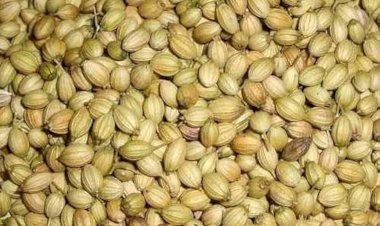 காய்ந்த மல்லியை தண்ணிரில் கலந்து அருந்துவதால் என்ன நன்மை...?